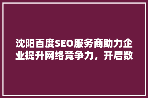 沈阳百度SEO服务商助力企业提升网络竞争力，开启数字化营销新篇章