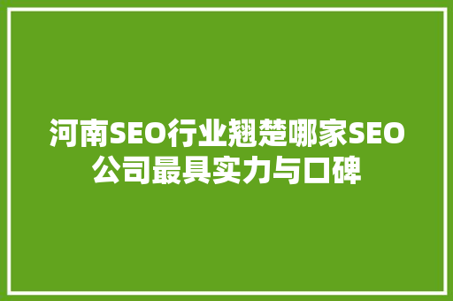 河南SEO行业翘楚哪家SEO公司最具实力与口碑