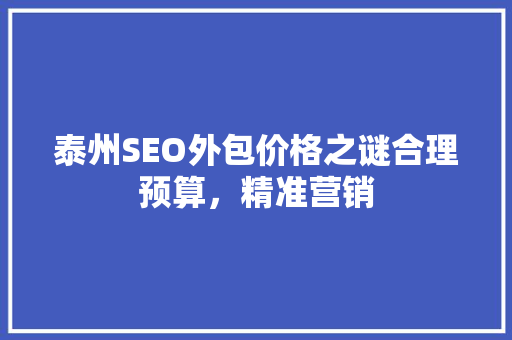 泰州SEO外包价格之谜合理预算，精准营销