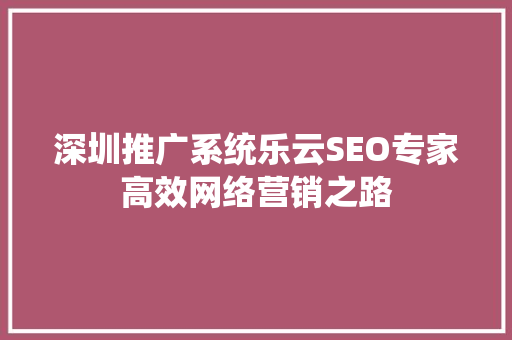 深圳推广系统乐云SEO专家高效网络营销之路