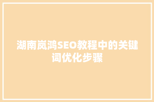 湖南岚鸿SEO教程中的关键词优化步骤