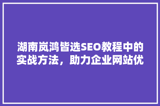 湖南岚鸿皆选SEO教程中的实战方法，助力企业网站优化