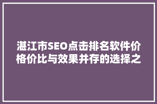 湛江市SEO点击排名软件价格价比与效果并存的选择之路