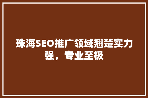 珠海SEO推广领域翘楚实力强，专业至极