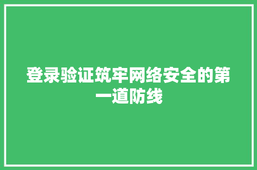 登录验证筑牢网络安全的第一道防线