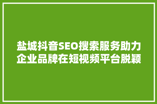 盐城抖音SEO搜索服务助力企业品牌在短视频平台脱颖而出