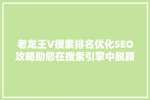 老龙王V搜索排名优化SEO攻略助您在搜索引擎中脱颖而出