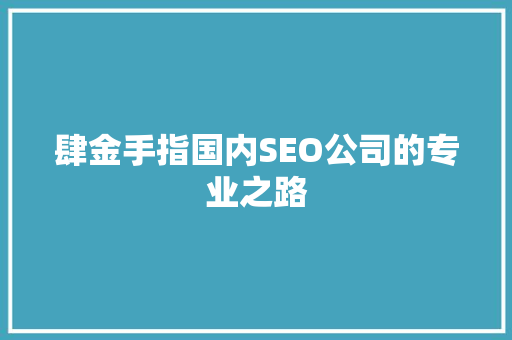 肆金手指国内SEO公司的专业之路