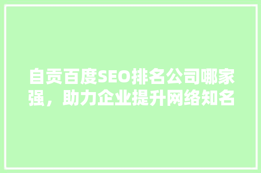 自贡百度SEO排名公司哪家强，助力企业提升网络知名度