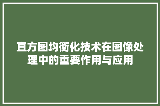 直方图均衡化技术在图像处理中的重要作用与应用