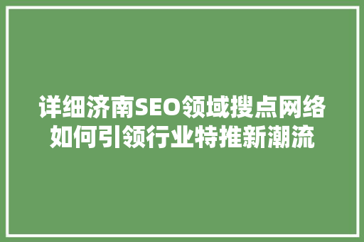 详细济南SEO领域搜点网络如何引领行业特推新潮流