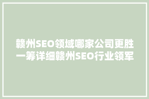 赣州SEO领域哪家公司更胜一筹详细赣州SEO行业领军者