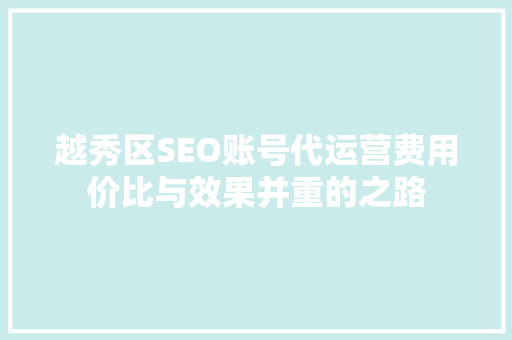 越秀区SEO账号代运营费用价比与效果并重的之路