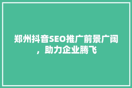郑州抖音SEO推广前景广阔，助力企业腾飞