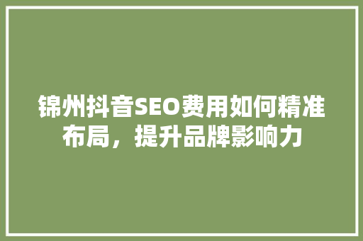 锦州抖音SEO费用如何精准布局，提升品牌影响力