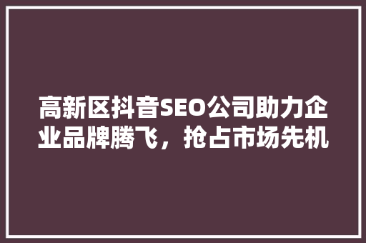 高新区抖音SEO公司助力企业品牌腾飞，抢占市场先机