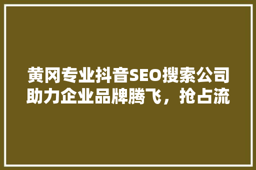 黄冈专业抖音SEO搜索公司助力企业品牌腾飞，抢占流量高地