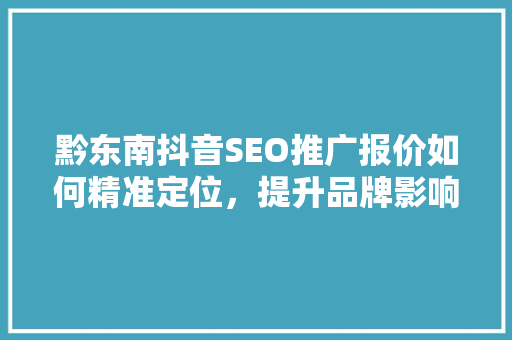 黔东南抖音SEO推广报价如何精准定位，提升品牌影响力