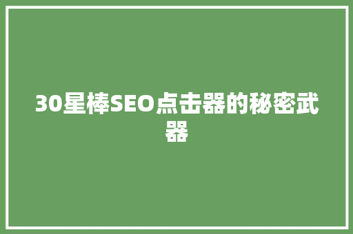 30星棒SEO点击器的秘密武器