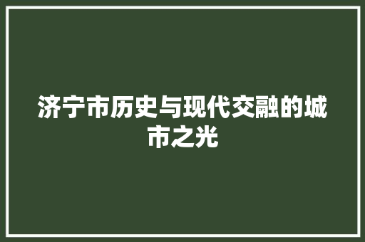 济宁市历史与现代交融的城市之光