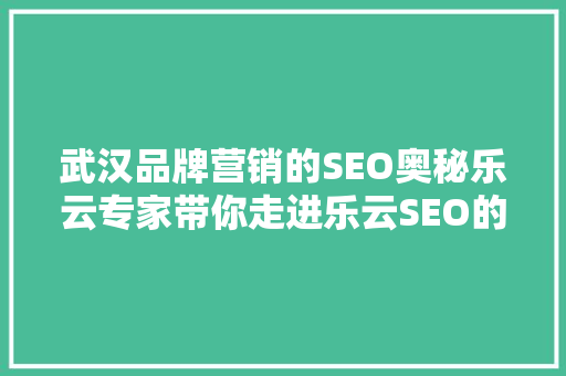 武汉品牌营销的SEO奥秘乐云专家带你走进乐云SEO的世界