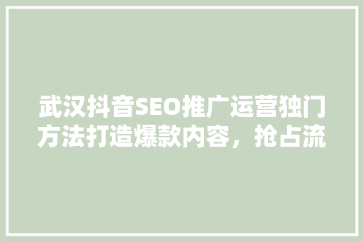 武汉抖音SEO推广运营独门方法打造爆款内容，抢占流量高地