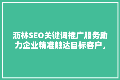 沥林SEO关键词推广服务助力企业精准触达目标客户，提升品牌影响力