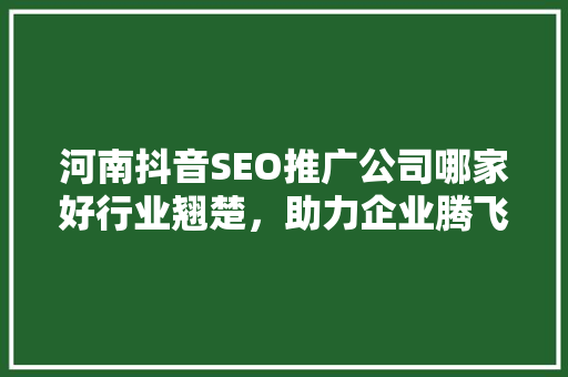 河南抖音SEO推广公司哪家好行业翘楚，助力企业腾飞