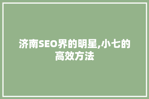济南SEO界的明星,小七的高效方法