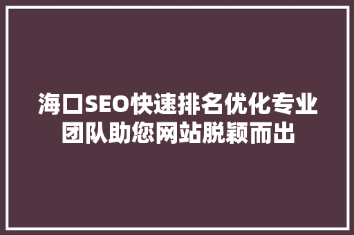 海口SEO快速排名优化专业团队助您网站脱颖而出