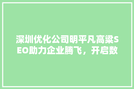 深圳优化公司明平凡高粱SEO助力企业腾飞，开启数字营销新时代