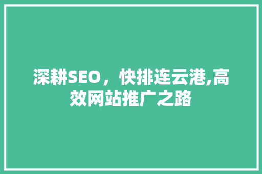 深耕SEO，快排连云港,高效网站推广之路