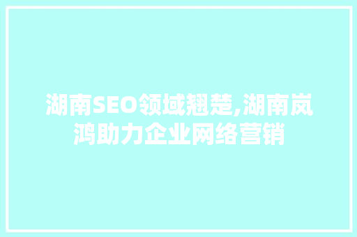 湖南SEO领域翘楚,湖南岚鸿助力企业网络营销