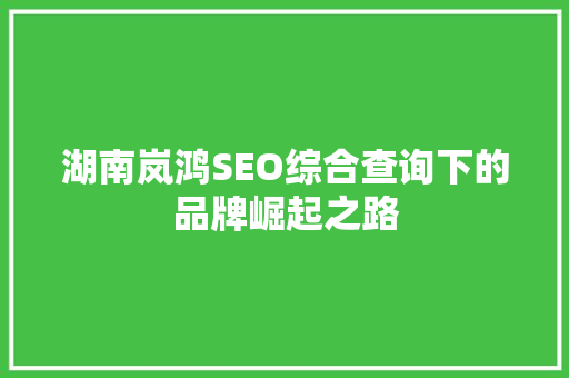 湖南岚鸿SEO综合查询下的品牌崛起之路