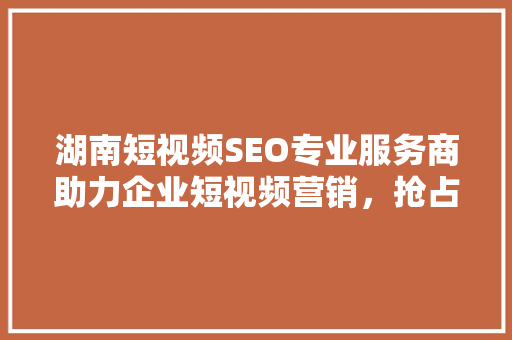 湖南短视频SEO专业服务商助力企业短视频营销，抢占流量高地