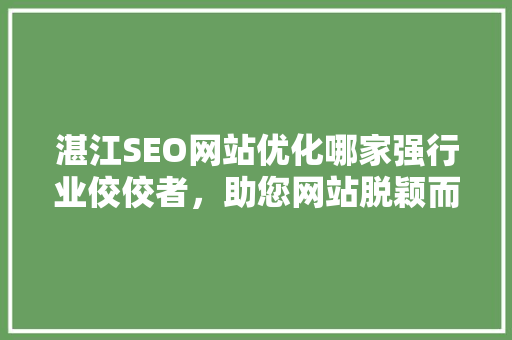 湛江SEO网站优化哪家强行业佼佼者，助您网站脱颖而出