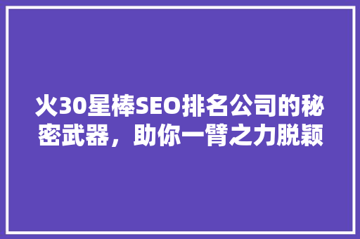 火30星棒SEO排名公司的秘密武器，助你一臂之力脱颖而出