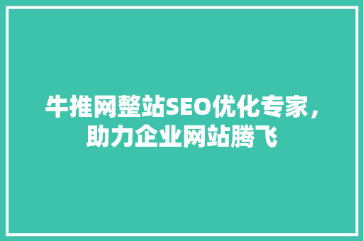 牛推网整站SEO优化专家，助力企业网站腾飞