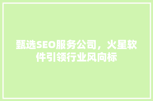 甄选SEO服务公司，火星软件引领行业风向标