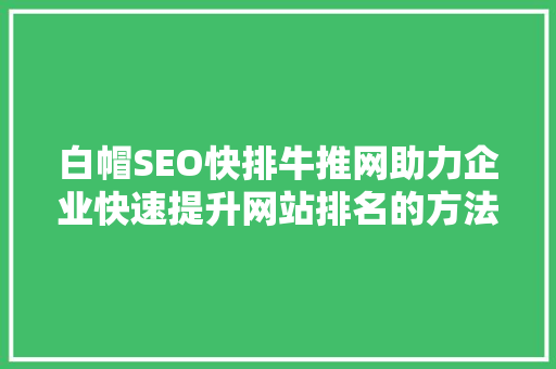 白帽SEO快排牛推网助力企业快速提升网站排名的方法