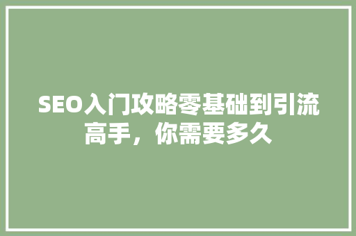 SEO入门攻略零基础到引流高手，你需要多久