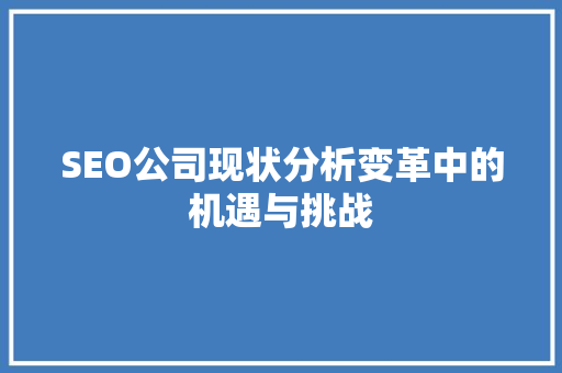 SEO公司现状分析变革中的机遇与挑战