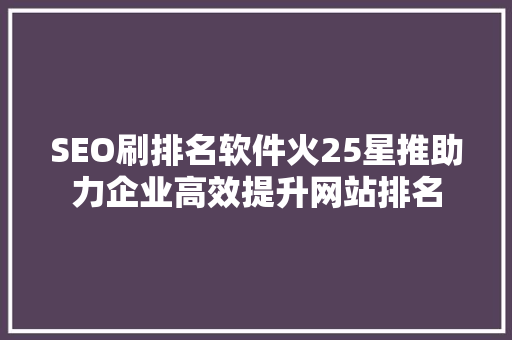 SEO刷排名软件火25星推助力企业高效提升网站排名