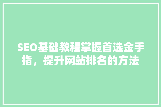 SEO基础教程掌握首选金手指，提升网站排名的方法