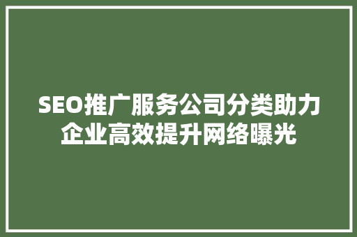 SEO推广服务公司分类助力企业高效提升网络曝光