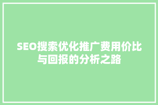SEO搜索优化推广费用价比与回报的分析之路