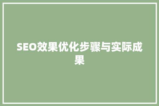 SEO效果优化步骤与实际成果