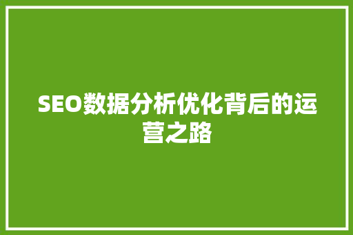 SEO数据分析优化背后的运营之路