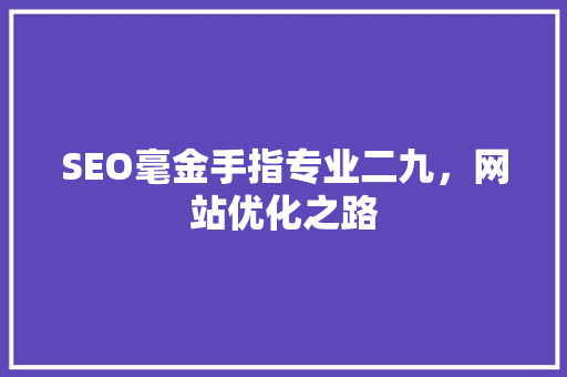 SEO毫金手指专业二九，网站优化之路