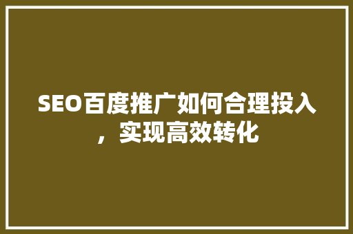 SEO百度推广如何合理投入，实现高效转化